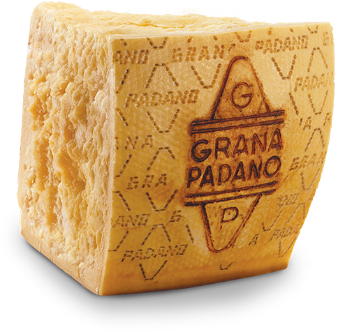 cheese - grana padano